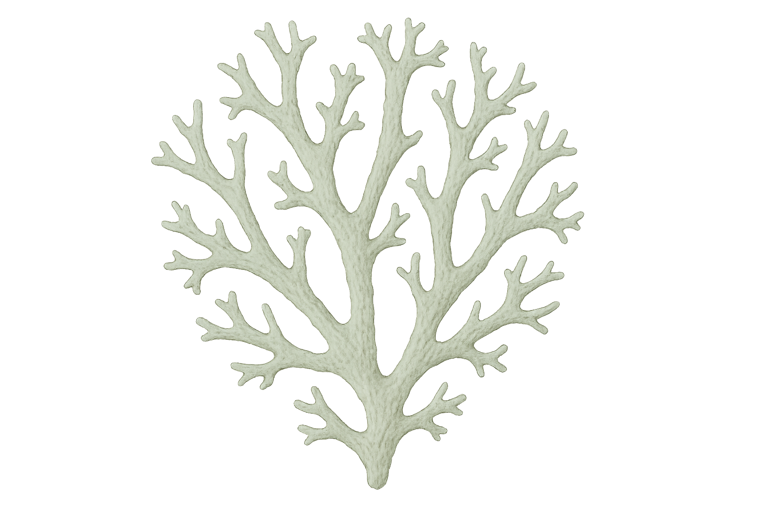 realistisches Icon png ohne Hintergrund eichenmoos