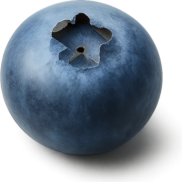 Blaubeere