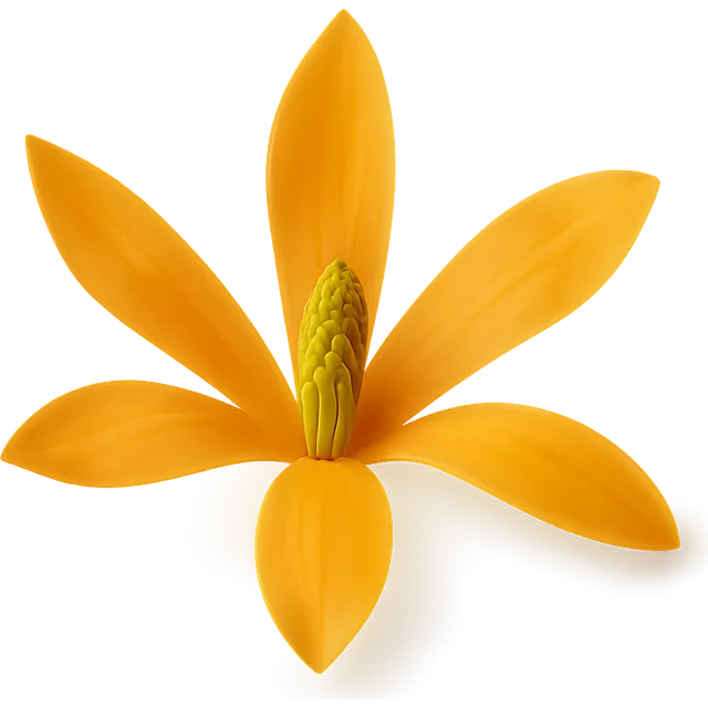 Champaca-Blüte