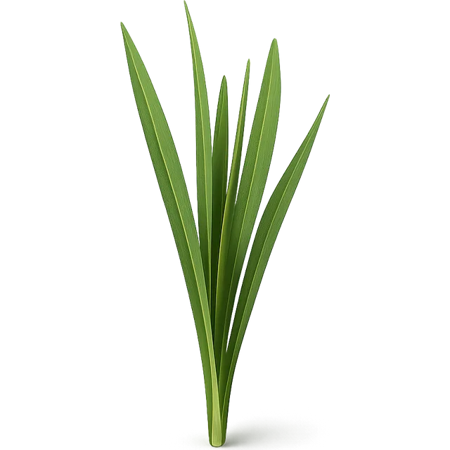Gras