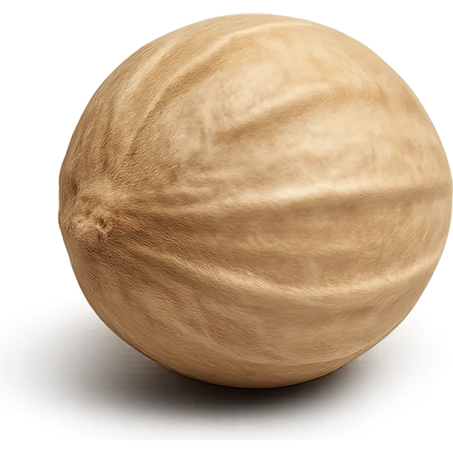 Koriandersamen