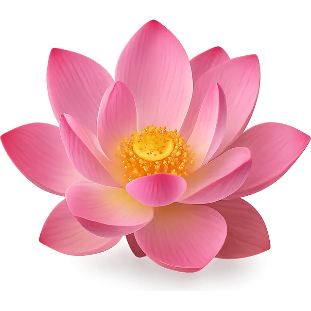 Lotus