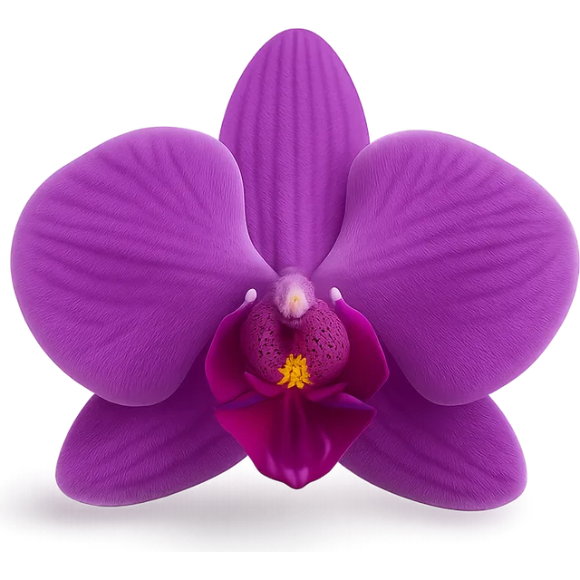 Orchidee