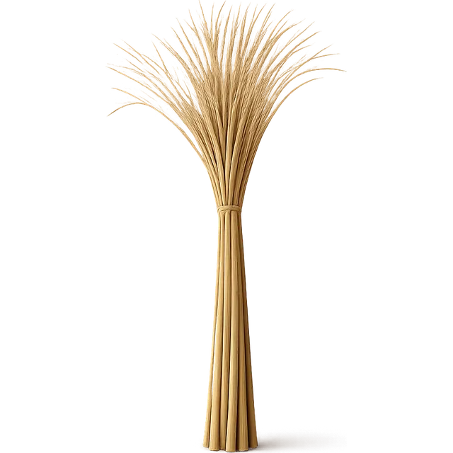 Papyrus