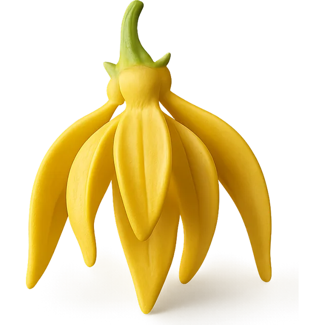 Ylang-Ylang